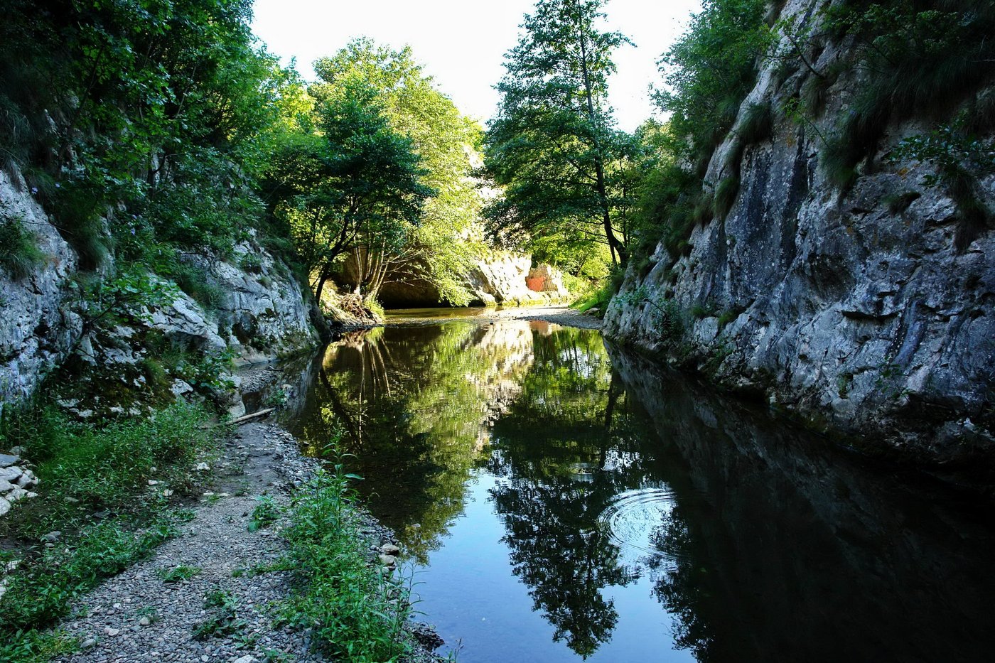 Attraction Image